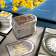 Image for article titled With Conquest of Nerath, War Comes to Dungeons & Dragons — And It Is Fun